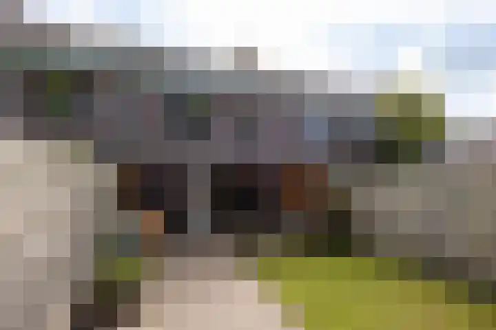 Van Eijdenhof 17 Leusden thumbnail 29