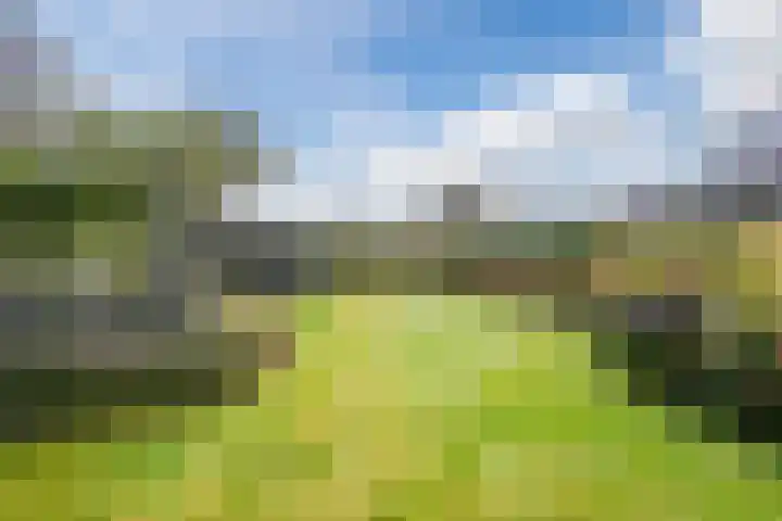Van Emstweg 11 Appelscha thumbnail 36