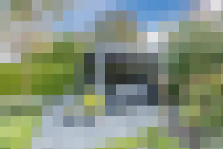 Van Emstweg 11 Appelscha thumbnail 40