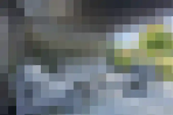 Van Emstweg 11 Appelscha thumbnail 41