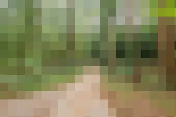 Van Emstweg 11 Appelscha thumbnail 43