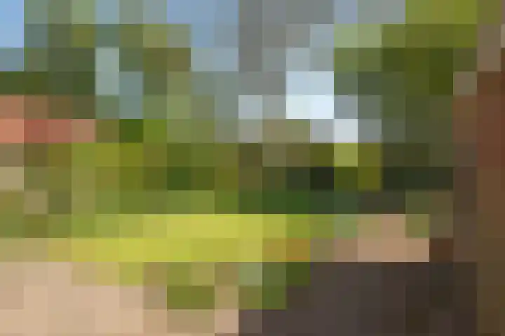 Van Erckelensstraat 5 Delden thumbnail 28