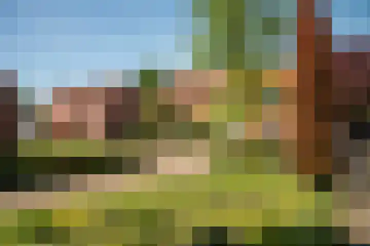 Van Erckelensstraat 5 Delden thumbnail 6