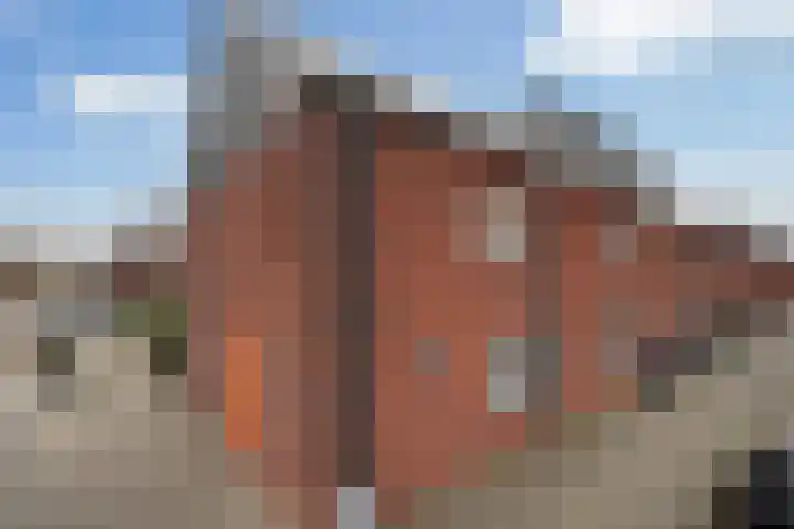 Van Erktuinen 3 Delft thumbnail 5