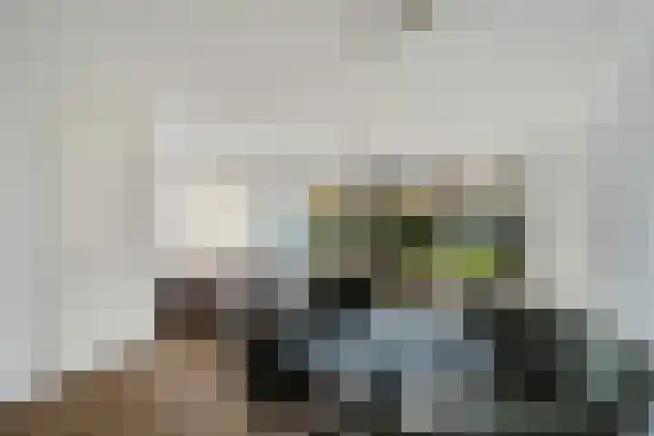 Van Erktuinen 3 Delft thumbnail 9