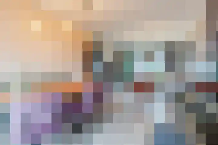 van Erpstraat 13 Geldrop thumbnail 18