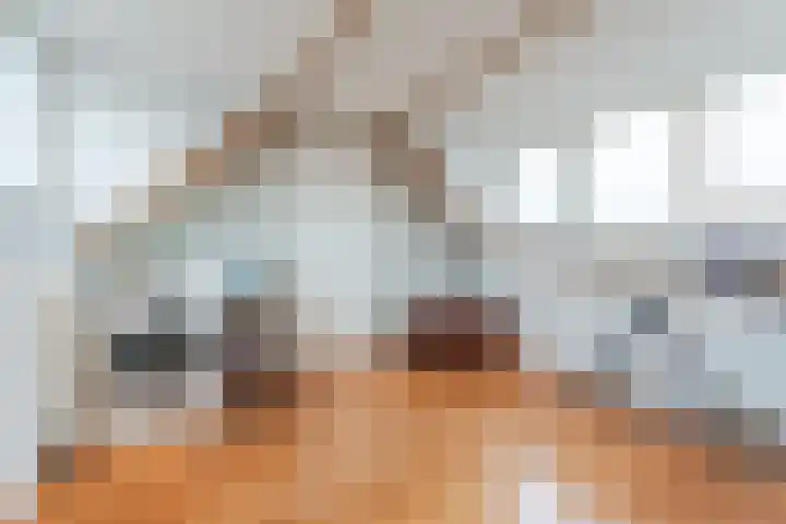 van Erpstraat 13 Geldrop thumbnail 35