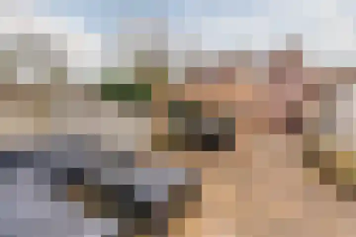 van Erpstraat 13 Geldrop thumbnail 37