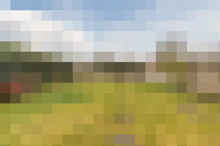 van Erpstraat 13 Geldrop thumbnail 39