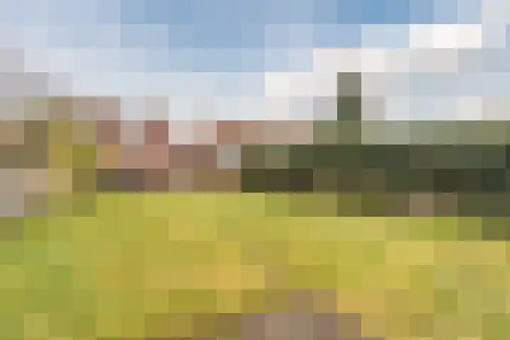 van Erpstraat 13 Geldrop thumbnail 4