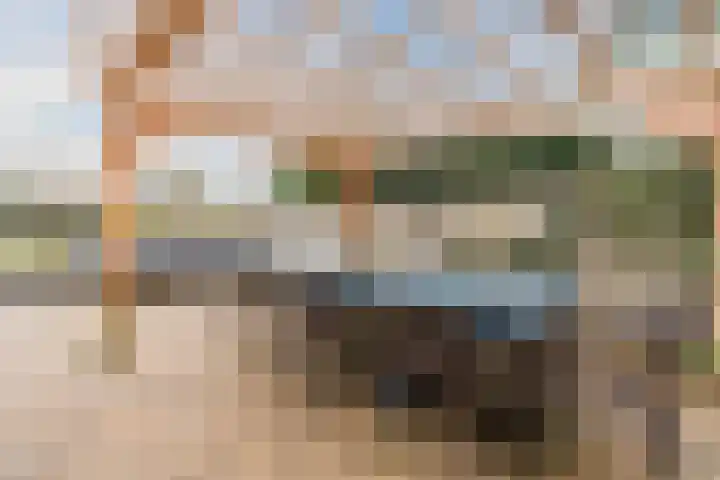 van Erpstraat 13 Geldrop thumbnail 42