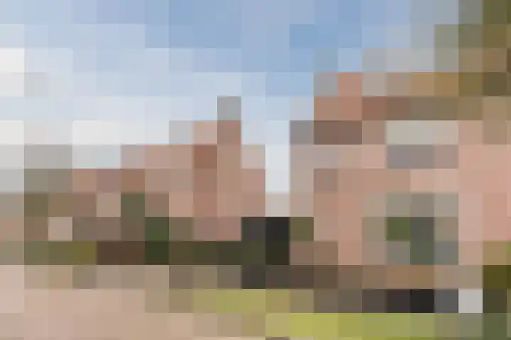 van Erpstraat 13 Geldrop thumbnail 6