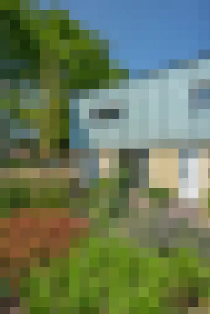 Van Essendijk 119 Den Haag thumbnail 39