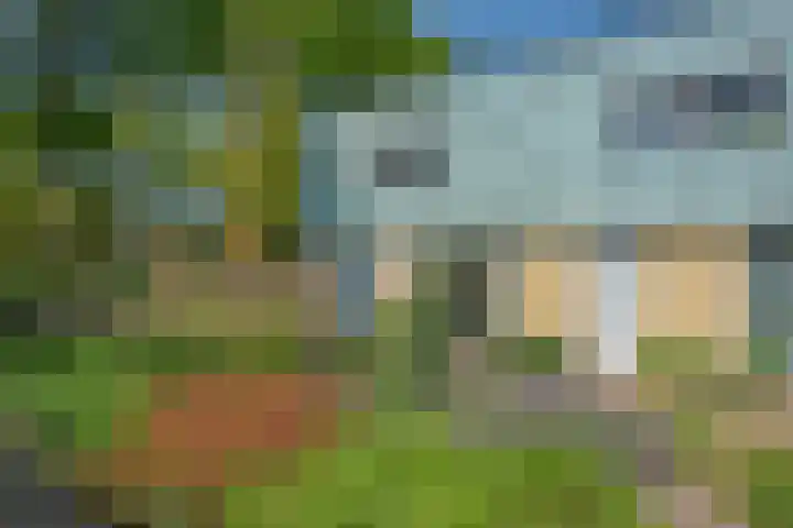Van Essendijk 119 Den Haag thumbnail 7