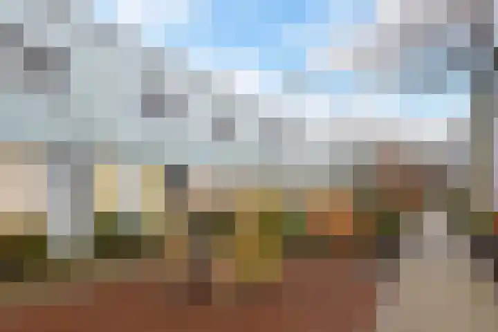 Van Essendijk 149 Den Haag thumbnail 54
