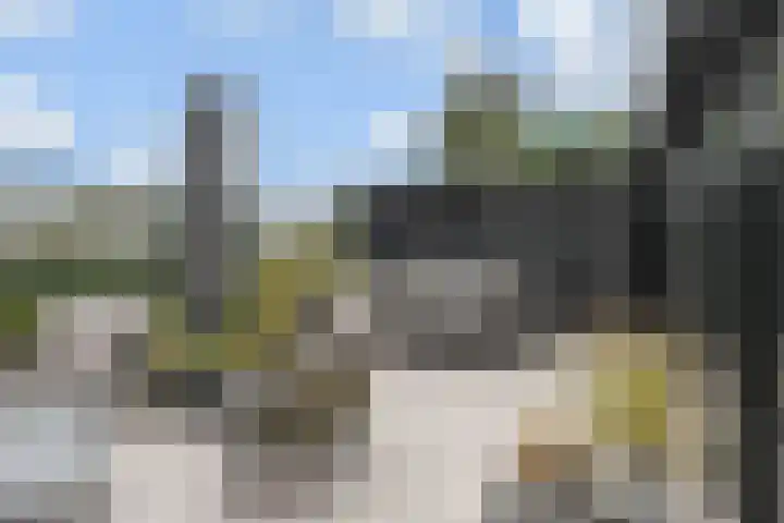 Van Essendijk 199 Den Haag thumbnail 10