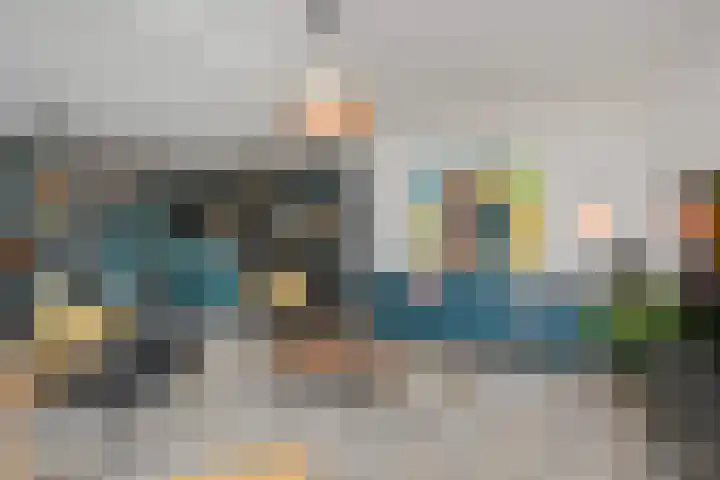 Van Essendijk 199 Den Haag thumbnail 13