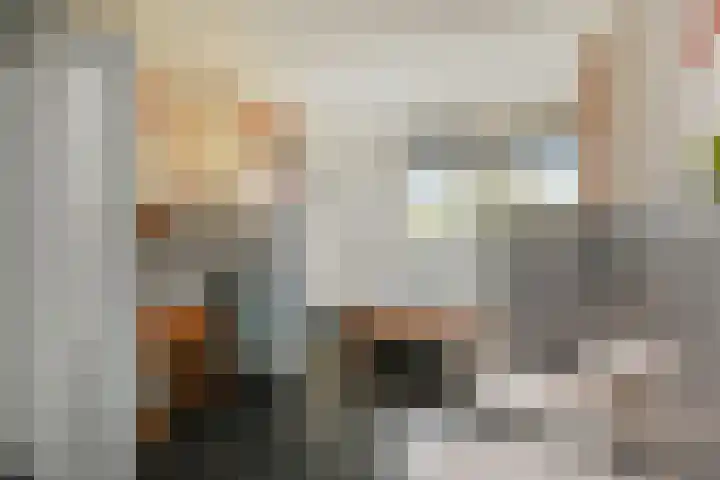 Van Essendijk 199 Den Haag thumbnail 24