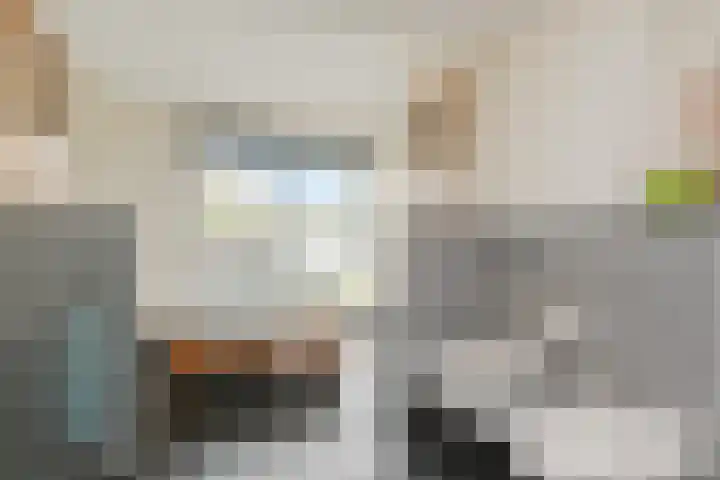 Van Essendijk 199 Den Haag thumbnail 25