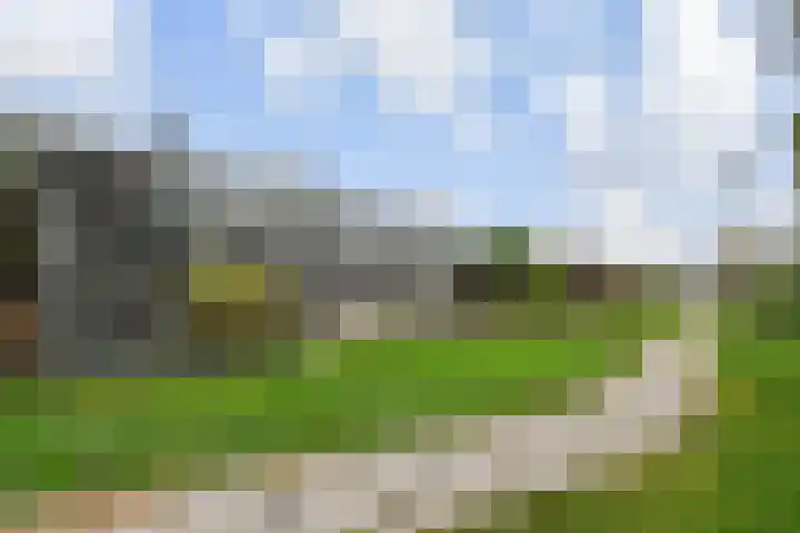 Van Essendijk 199 Den Haag thumbnail 46