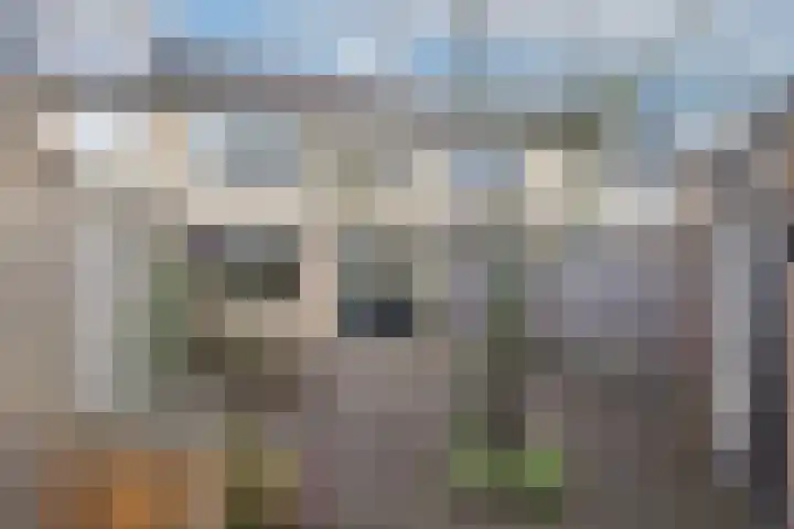 van Essenstraat 41 Zutphen thumbnail 4