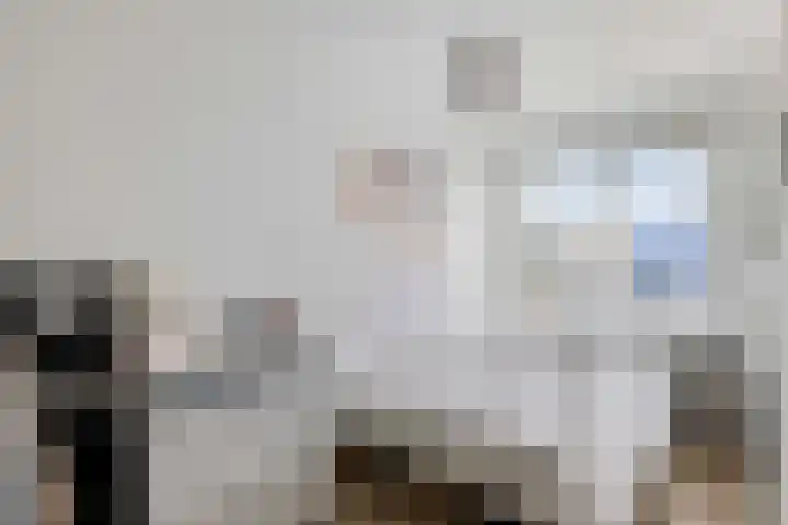 Van Eysingalaan 119 Utrecht thumbnail 20
