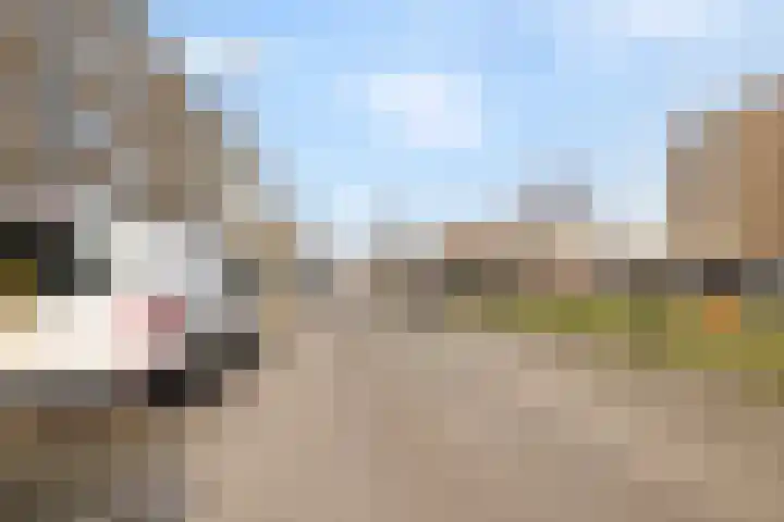 Van Eysingalaan 119 Utrecht thumbnail 32