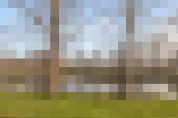 Van Eysingalaan 119 Utrecht thumbnail 38