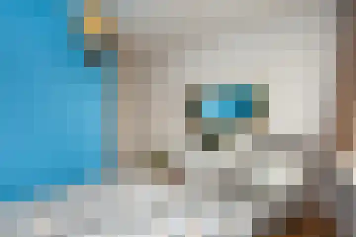 Van Eysingalaan 157 Utrecht thumbnail 12