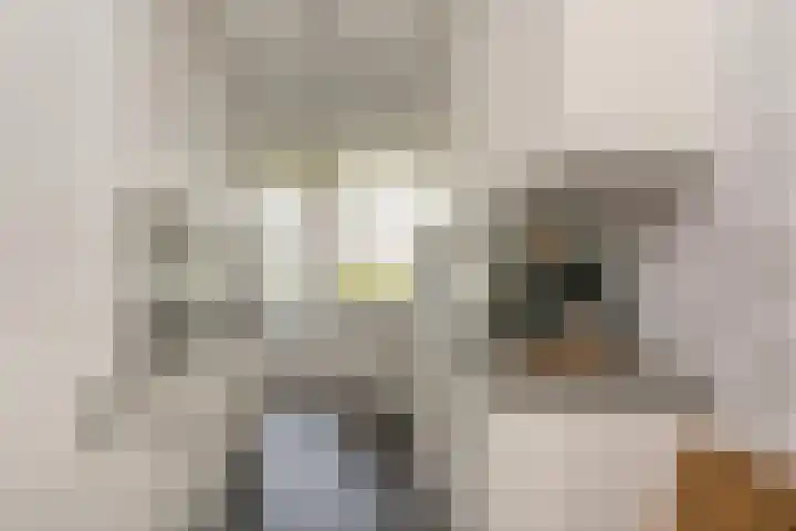 Van Eysingalaan 157 Utrecht thumbnail 13