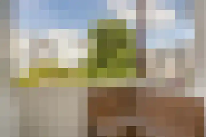 Van Eysingalaan 157 Utrecht thumbnail 14