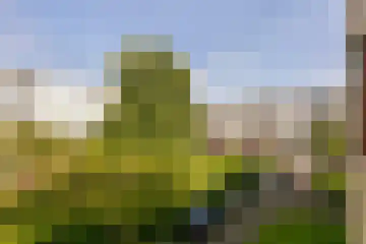Van Eysingalaan 157 Utrecht thumbnail 17