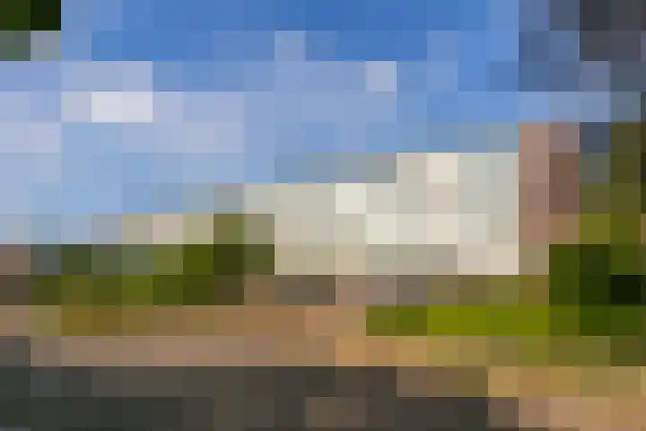 Van Eysingalaan 157 Utrecht thumbnail 25