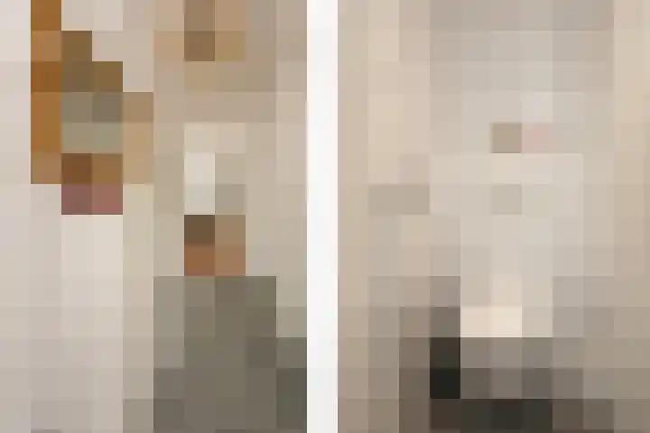 Van Eysingalaan 157 Utrecht thumbnail 8