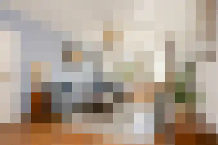 Van Eysingalaan 157 Utrecht thumbnail 9
