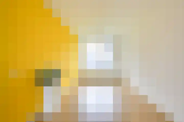 Van Eysingalaan 16 Utrecht thumbnail 10