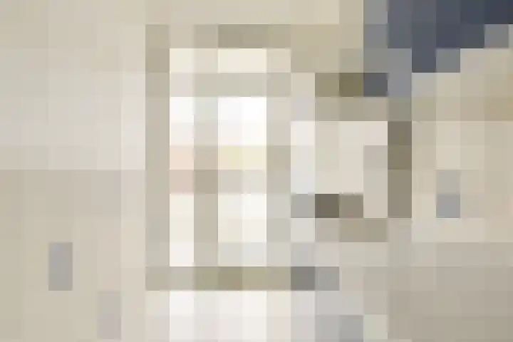 Van Eysingalaan 16 Utrecht thumbnail 14