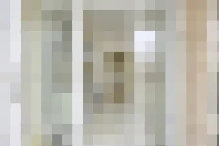 Van Eysingalaan 16 Utrecht thumbnail 17
