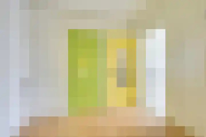 Van Eysingalaan 16 Utrecht thumbnail 19