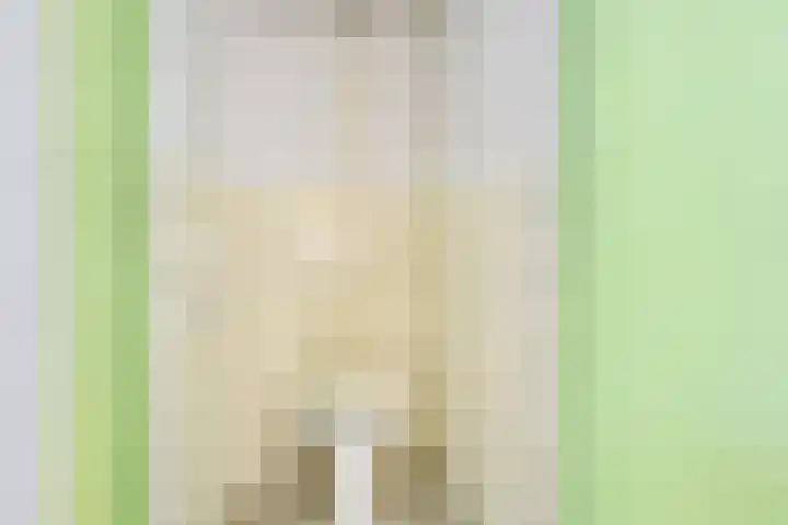 Van Eysingalaan 16 Utrecht thumbnail 21