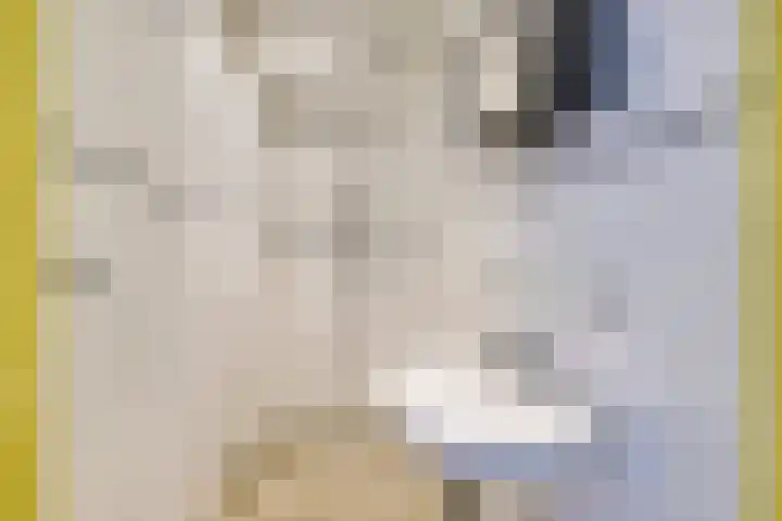 Van Eysingalaan 16 Utrecht thumbnail 28