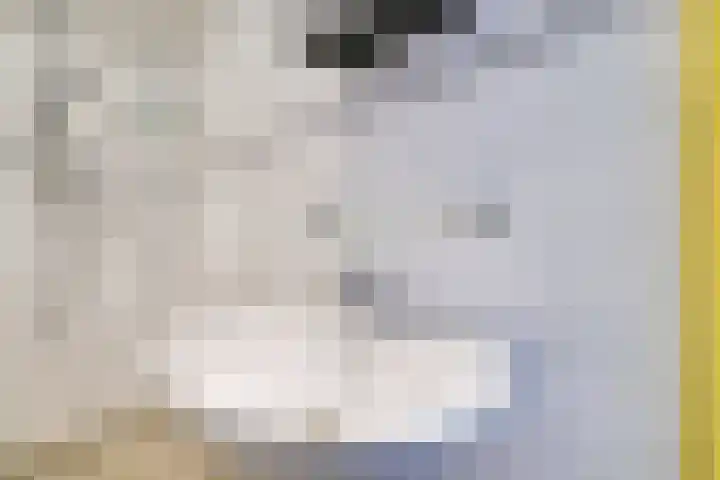 Van Eysingalaan 16 Utrecht thumbnail 30