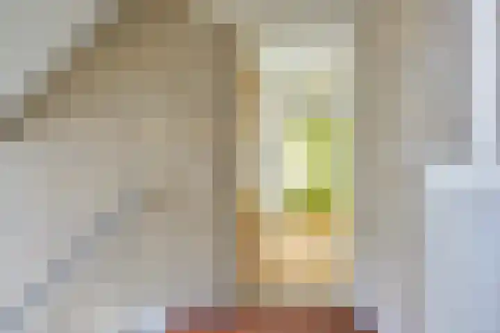 Van Eysingalaan 16 Utrecht thumbnail 31