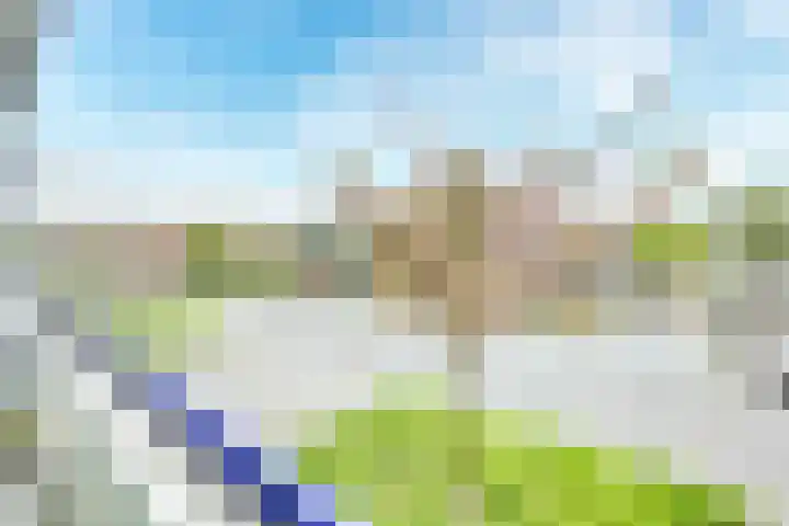 Van Eysingalaan 16 Utrecht thumbnail 36