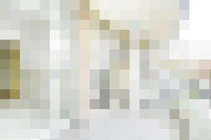 Van Eysingalaan 16 Utrecht thumbnail 39