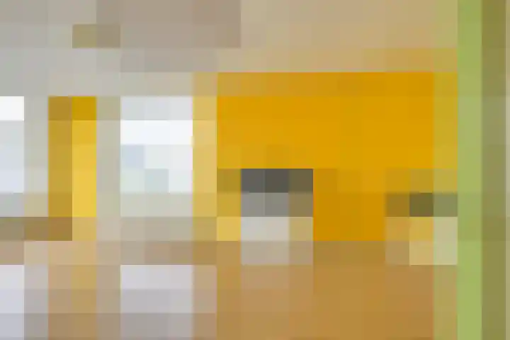 Van Eysingalaan 16 Utrecht thumbnail 5