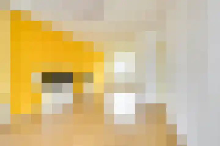 Van Eysingalaan 16 Utrecht thumbnail 9