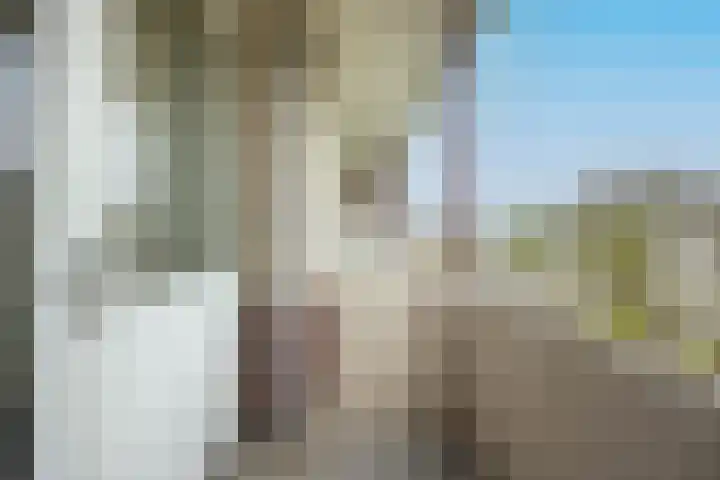 Van Eysingalaan 183 Utrecht thumbnail 24