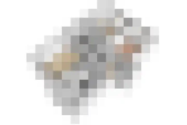 Van Eysingalaan 183 Utrecht thumbnail 37