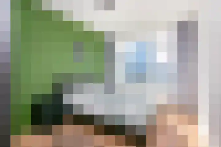 Van Eysingalaan 24 Utrecht thumbnail 14